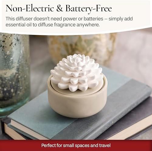 Airom White Succulent Porcelain Diffuser with Peppermint Oil