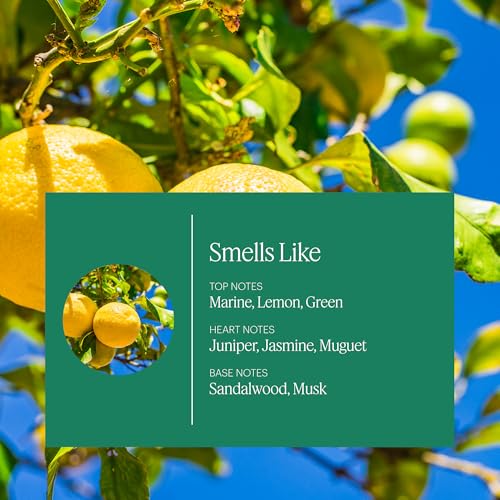 Aera Mini Home Hygiene Essential Oil - Citrus and Clean Laundry Scent