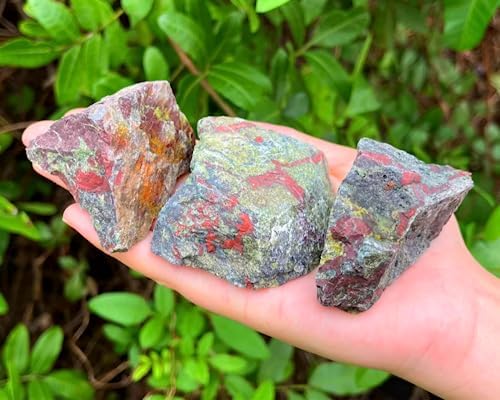 Zenkeeper 1 Lb Large Rough Dragon Blood Stone