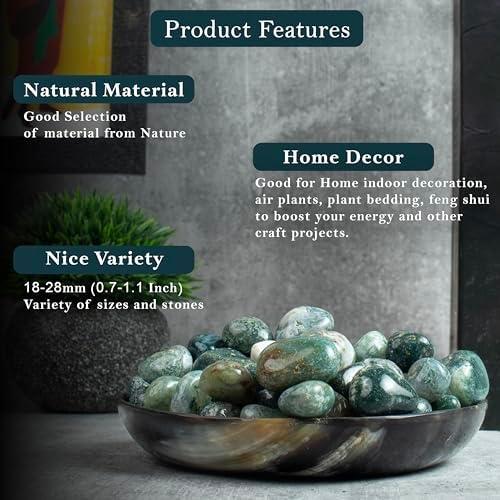Crocon 1LB Moss Agate Tumbled Stones Set