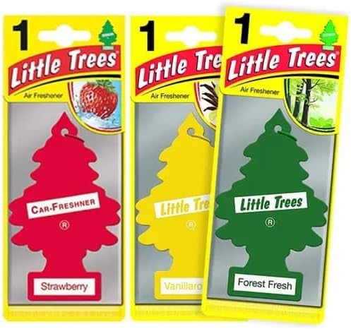 Car Air Freshener Assorted Scents 24-Pack
