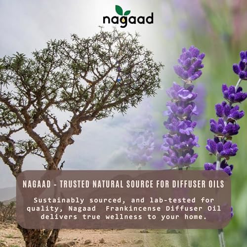Organic Frankincense Essential Oil - 15ml for Diffusers and Massage