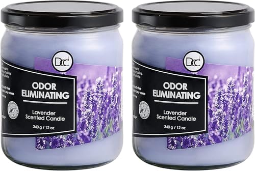 Diannes Custom Lavender 2 Pack Candles
