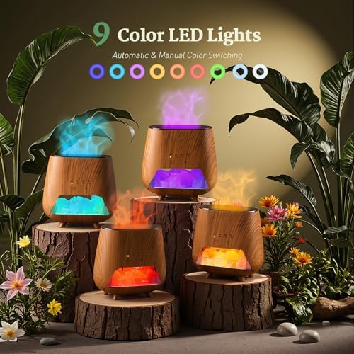 Essential Oil Diffuser with Himalayan Salt and LED Light