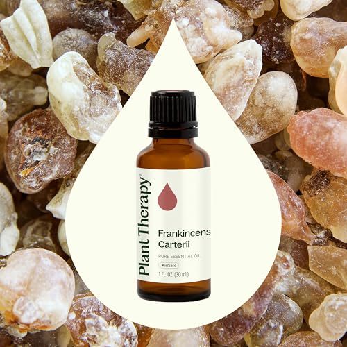 Plant Therapy Frankincense Carteri Essential Oil 30 mL