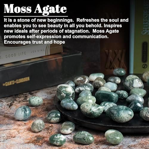 Crocon 1LB Moss Agate Tumbled Stones Set