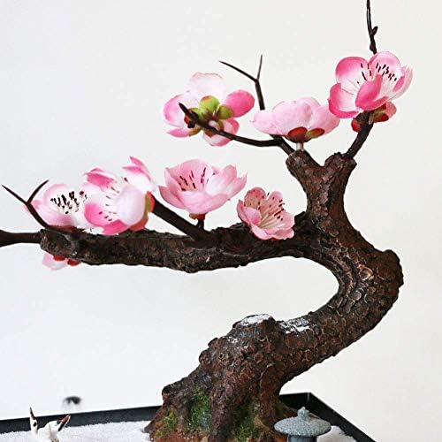 Mini Zen Garden Kit for Desk Stress Relief