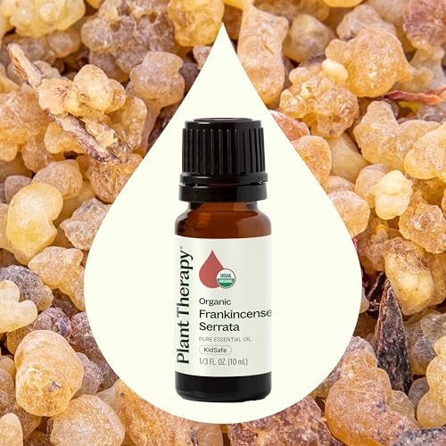 Plant Therapy Organic Frankincense Serrata Essential Oil 10 mL