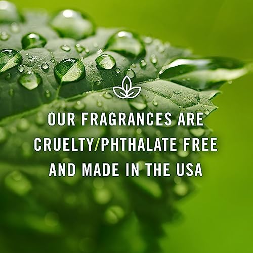 PJ Trading Bamboo Oil 10ml - Candle Diffuser Scent