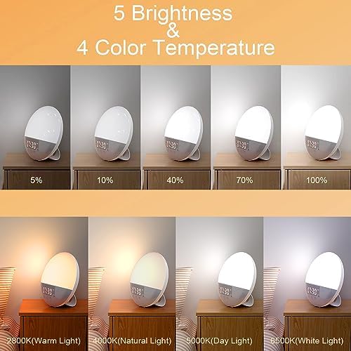 RICIAL Sunrise Alarm Clock with Wake Up Light