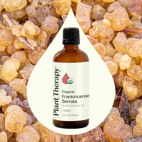 Plant Therapy Organic Frankincense Serrata Essential Oil 100 mL