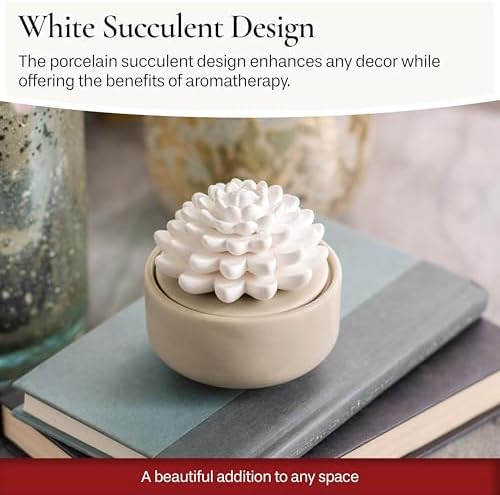 Airom White Succulent Porcelain Diffuser with Peppermint Oil