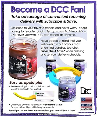 Peppermint Odor Eliminating Soy Candle - 80 Hour Burn