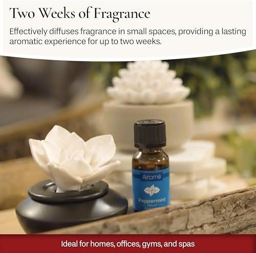 Airom White Succulent Porcelain Diffuser with Peppermint Oil