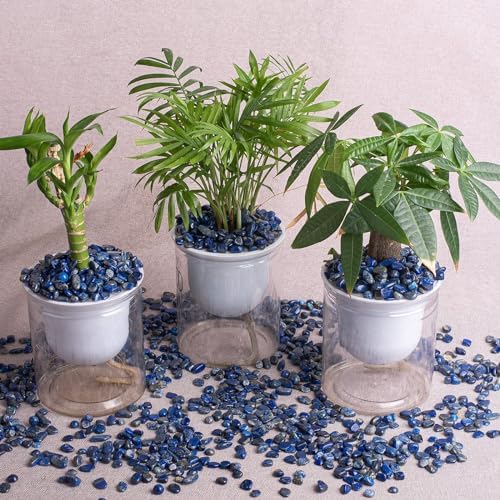 Polished Lapis Lazuli Crystal Chips 200 Pcs