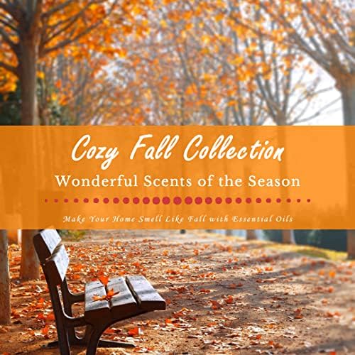 SALUBRITO Fall Essential Oil Set 6x10ml