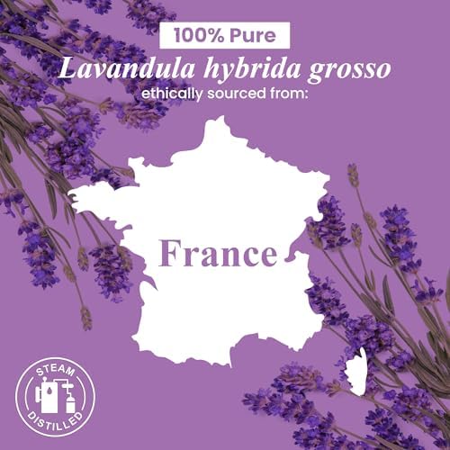 Handcraft Blends Lavender Essential Oil - 16 Fl Oz