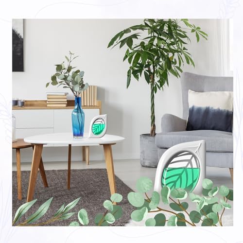 Clean-n-Fresh Air Freshener 4 Pack Eucalyptus Mint