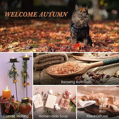 SALUBRITO Fall Essential Oil Set 6x10ml