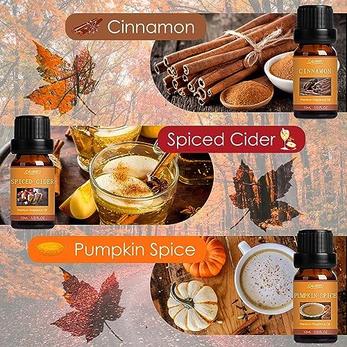 SALUBRITO Fall Essential Oil Set 6x10ml