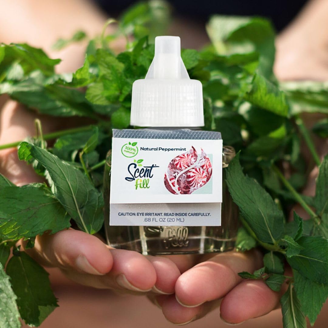 Scent Fill Natural Peppermint Air Freshener 2 Refills with Diffuser