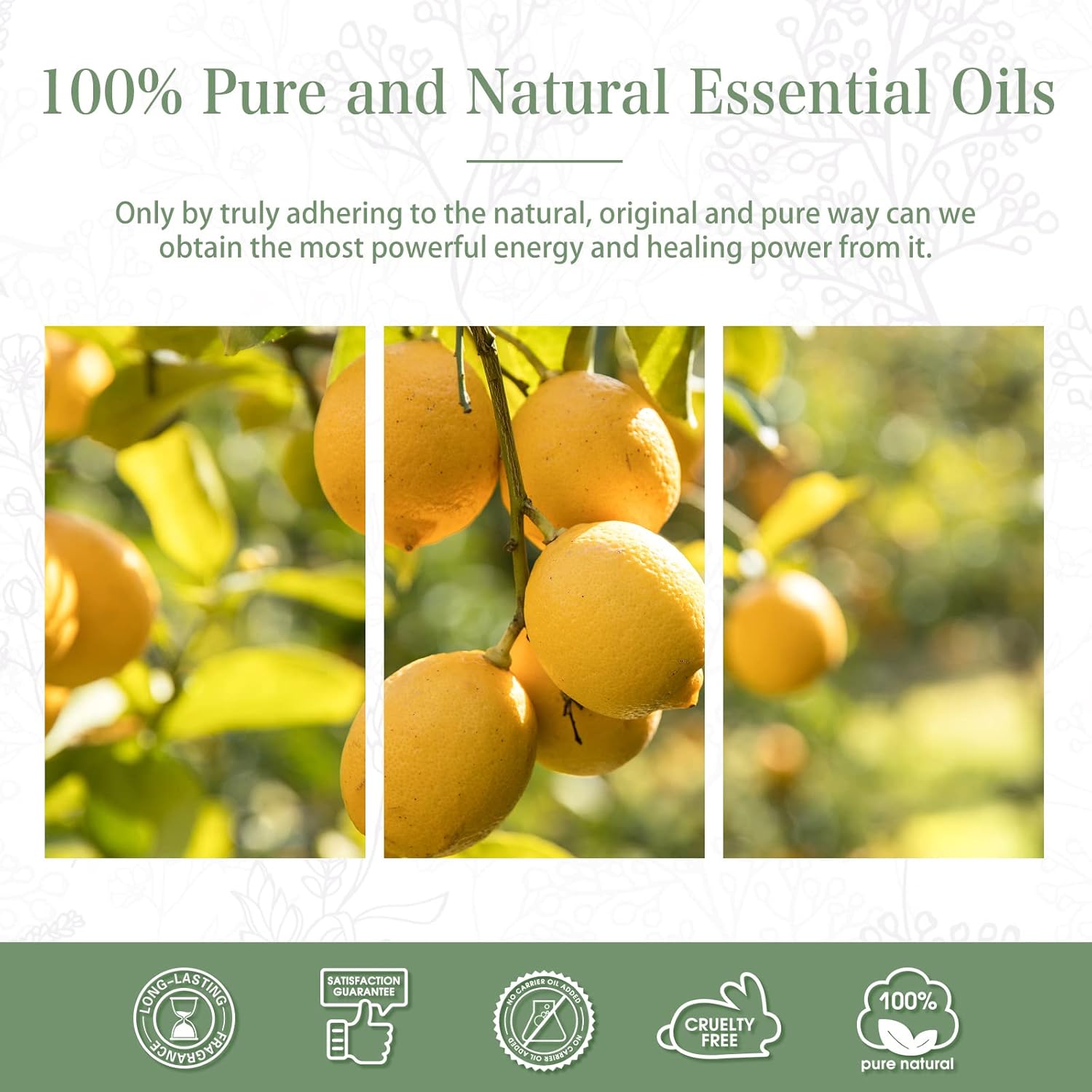 PHATOIL 101 Fl Oz Lemon Essential Oil 30ML