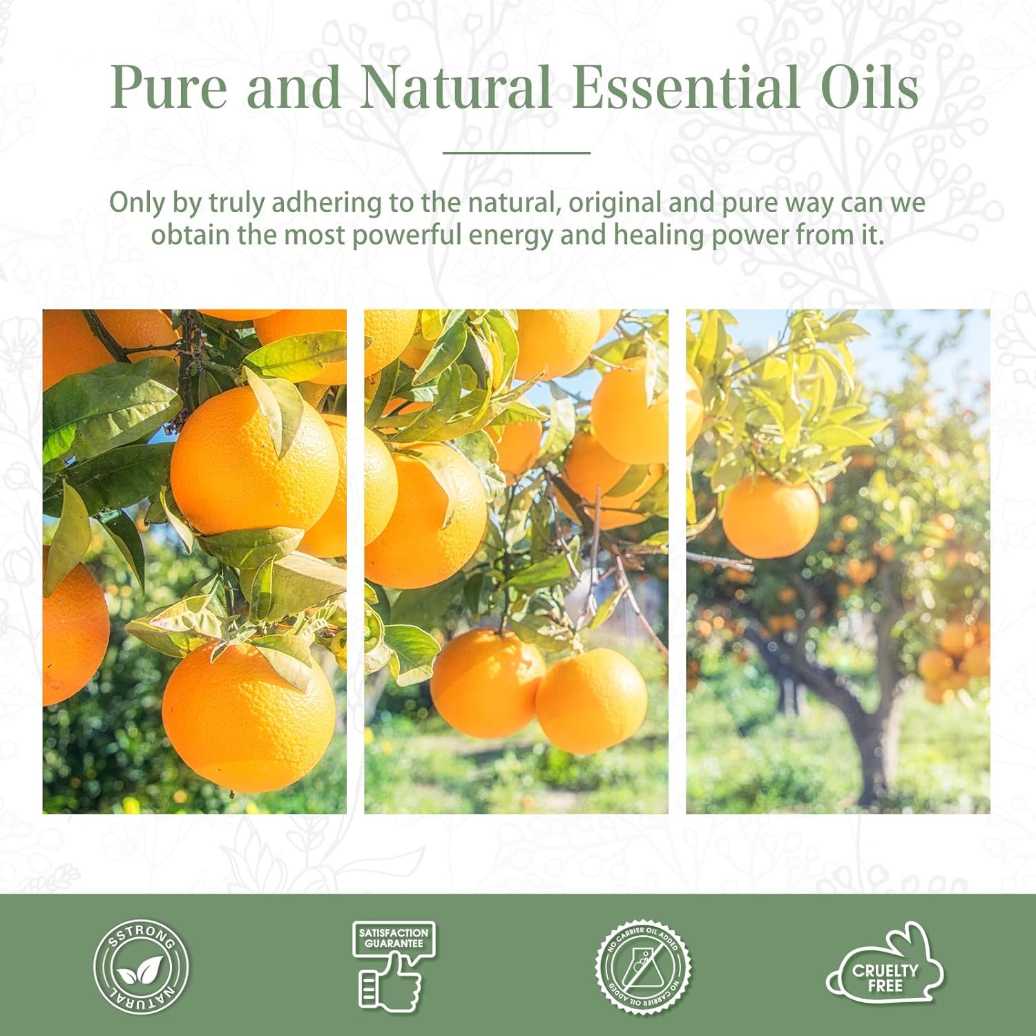Sweet Orange 338 Fl Oz Essential Oil for Diffusers and DIY Projects