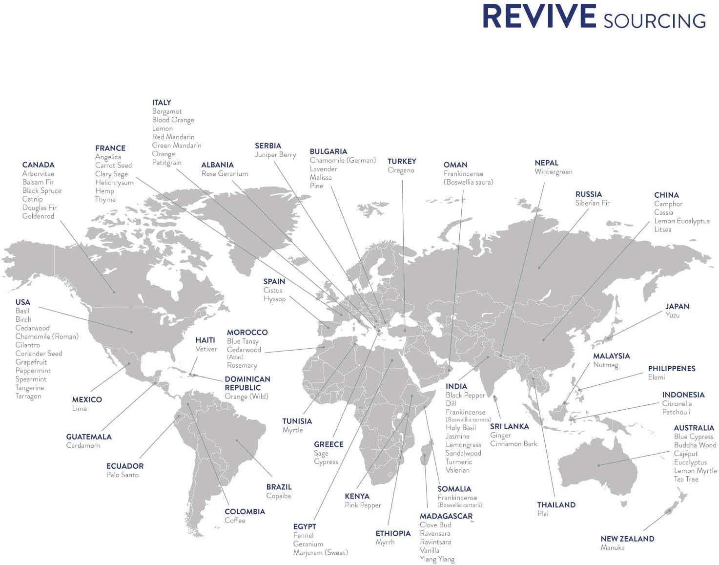 Frankincense Essential Oil 10mL by ReviveEO - Pure Therapeutic Aromatherapy