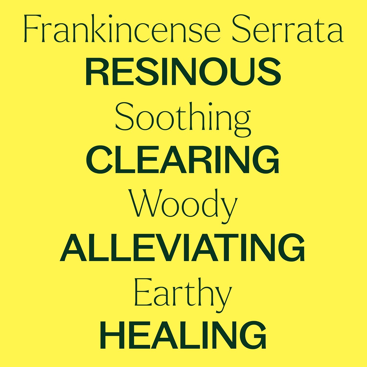 Plant Therapy Organic Frankincense Serrata Essential Oil 100 mL