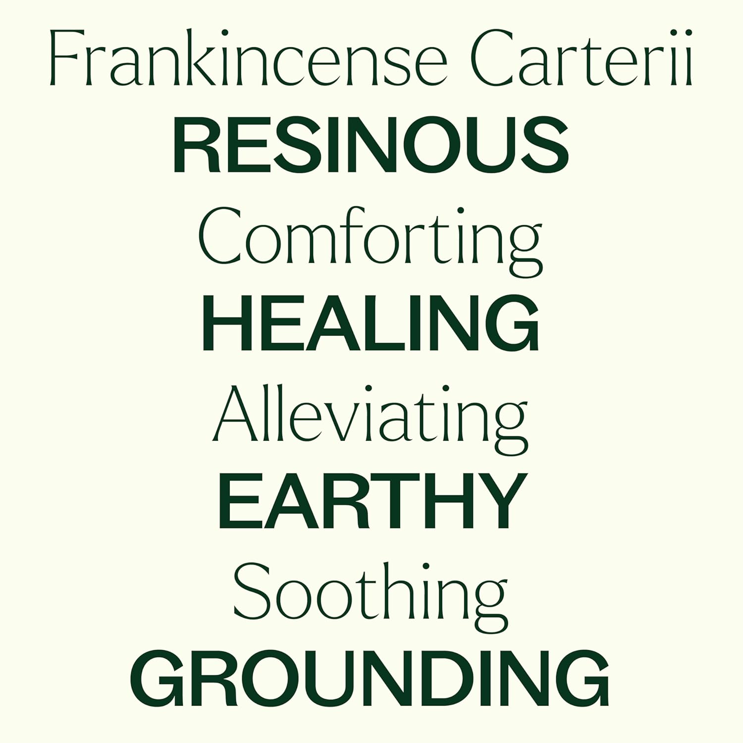 Plant Therapy Frankincense Carteri Essential Oil 30 mL