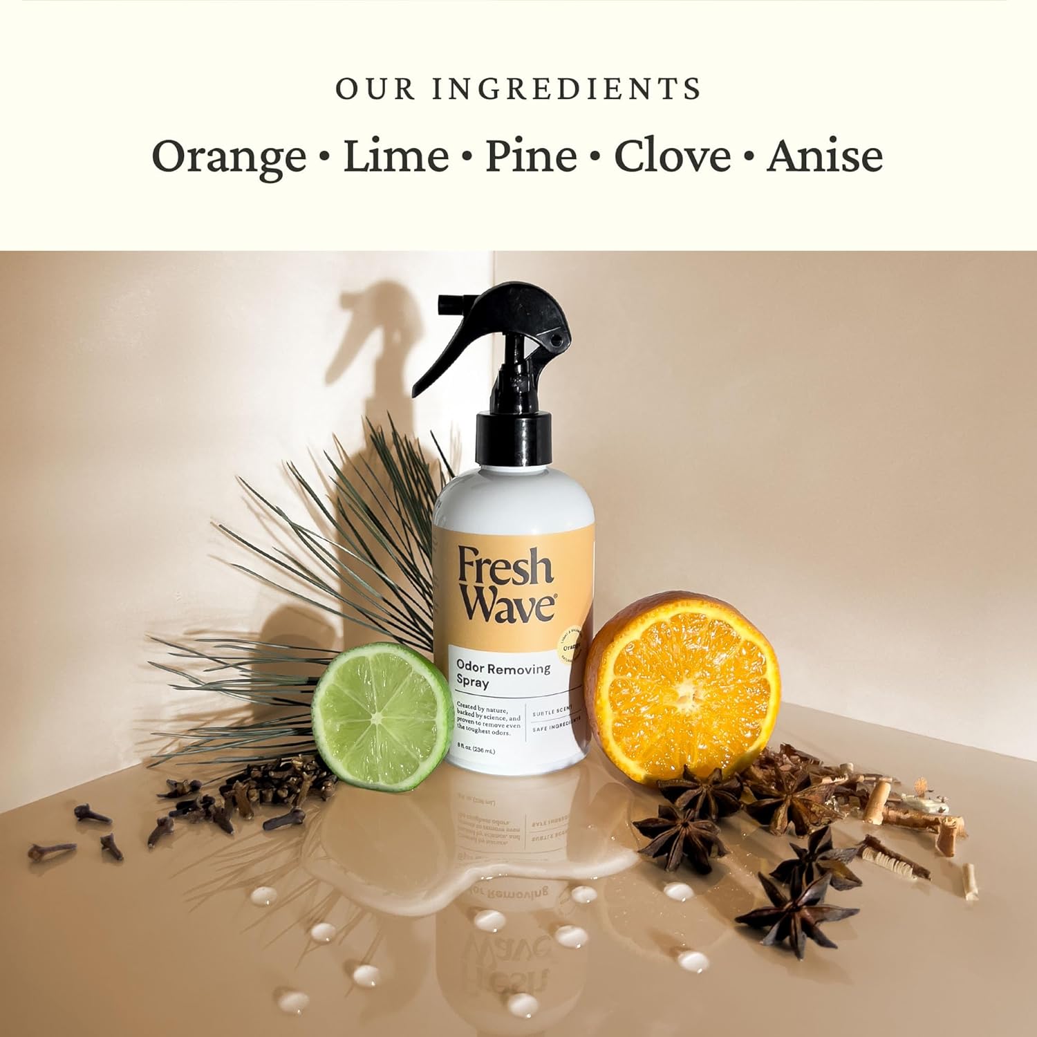 Fresh Wave Orange Scent Odor Removing Spray 8 Fl Oz