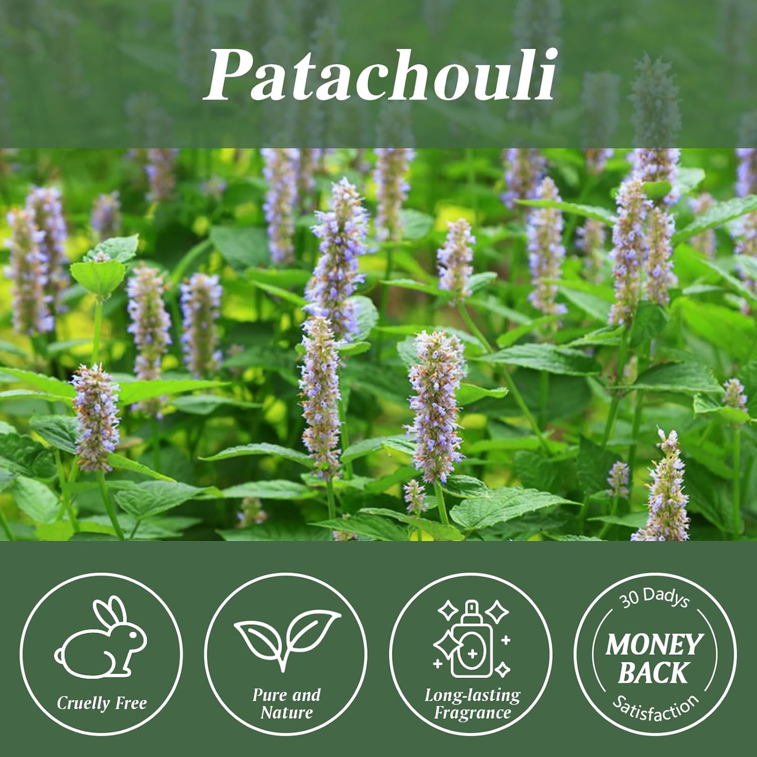 Aeshory Patachouli Essential Oil 338 FL OZ