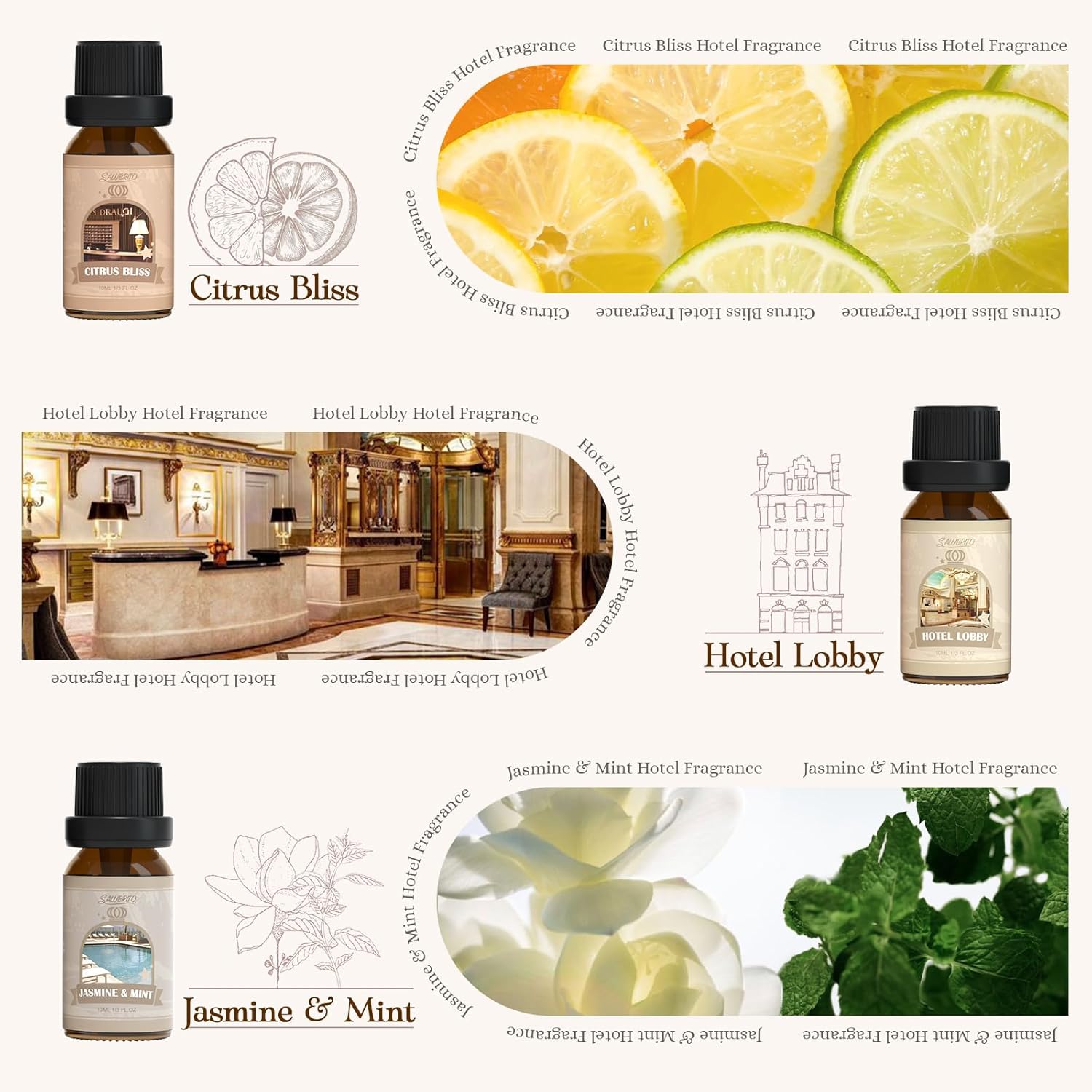 SALUBRITO Luxury Essential Oil Set with 6 Unique Scents