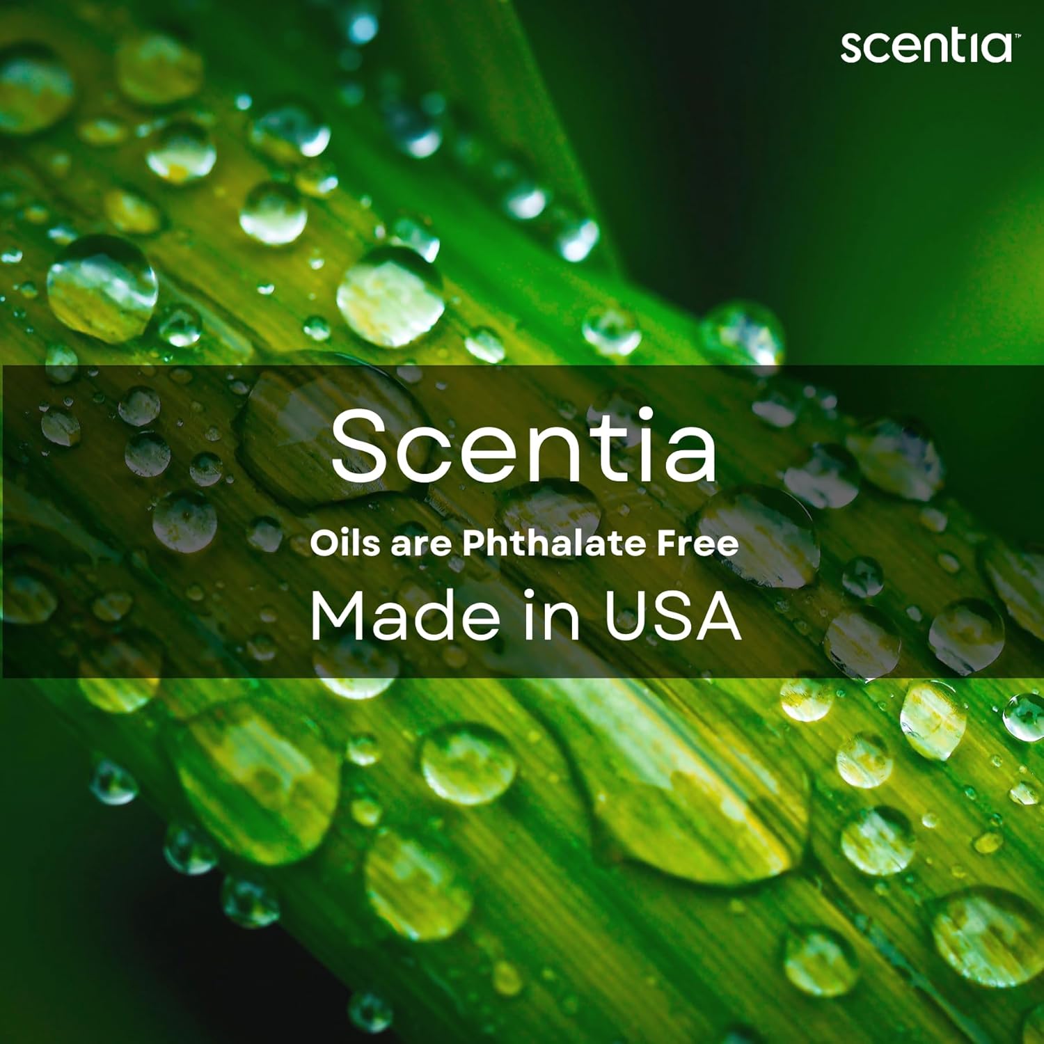 Scentia Hotel Diffuser Oil Set - 3 x 20ml Luxury Fragrance Collection