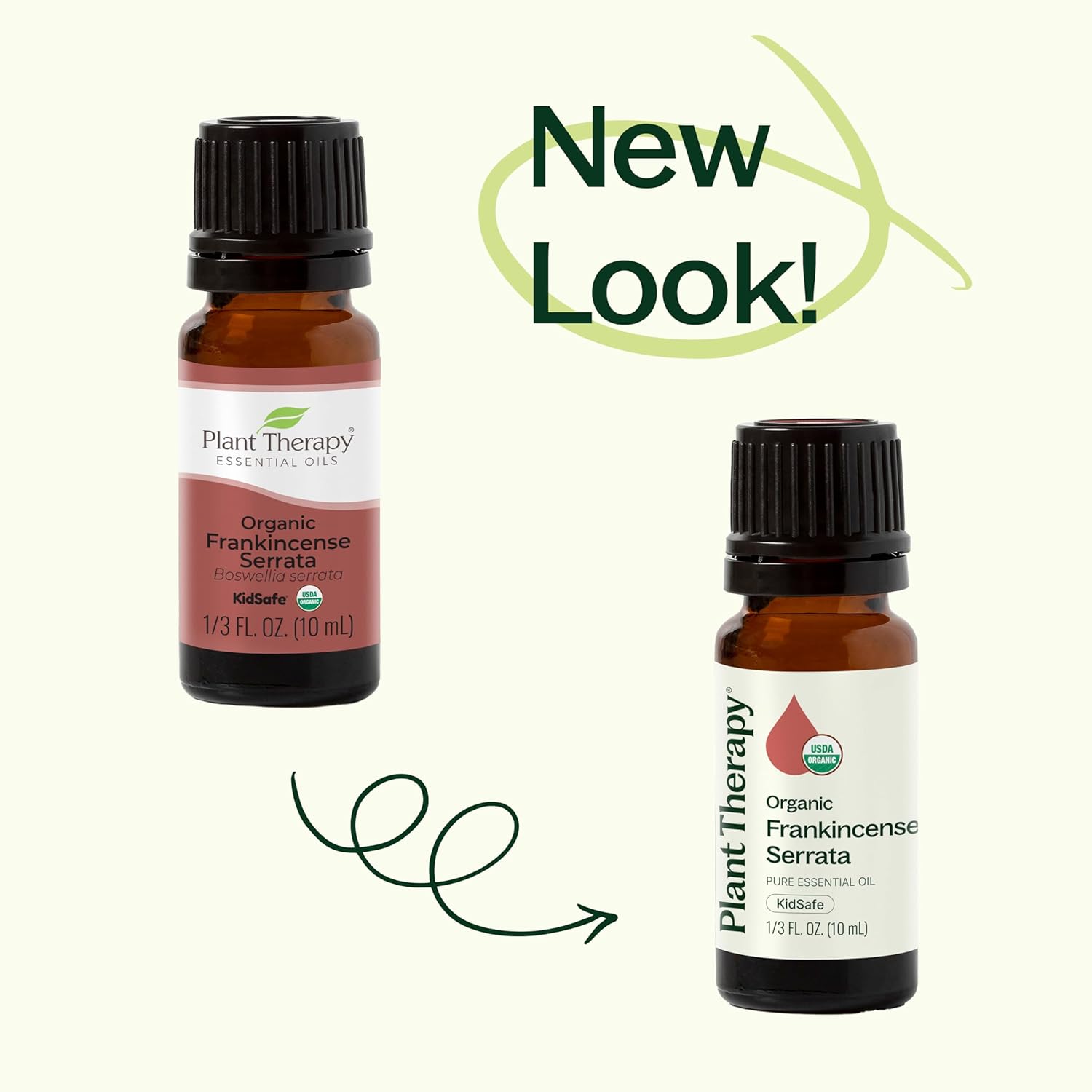 Plant Therapy Organic Frankincense Serrata Essential Oil 100 mL
