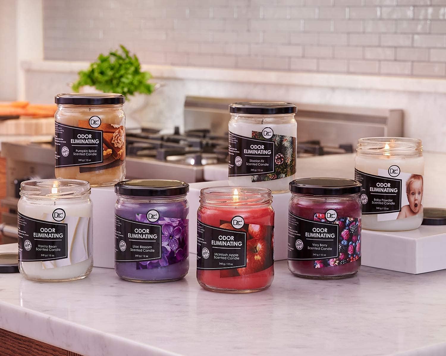 Vanilla Bean Odor Eliminating Candle 12 Ounce