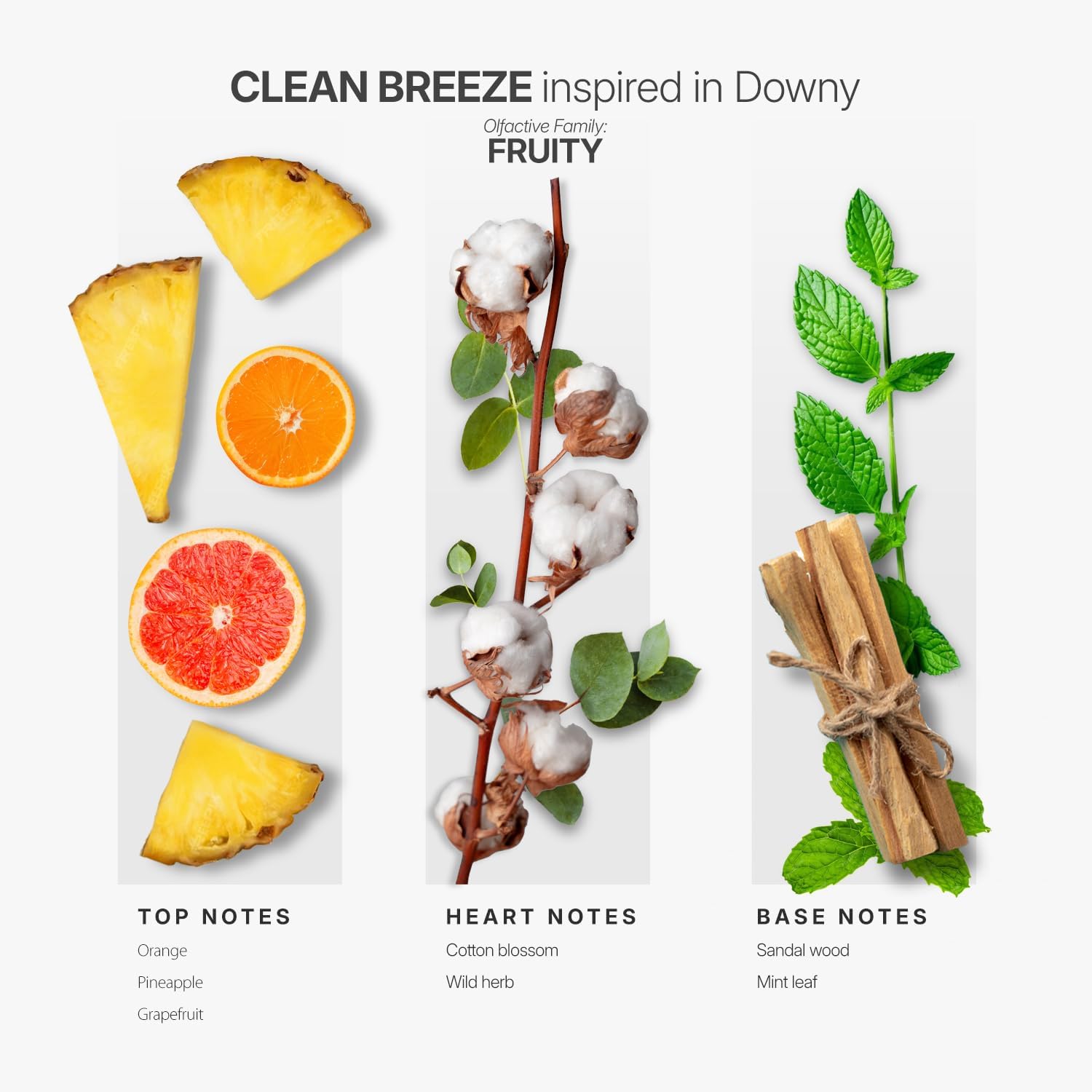 AROMAPLAN Clean Breeze Essential Oil 5 Fl Oz