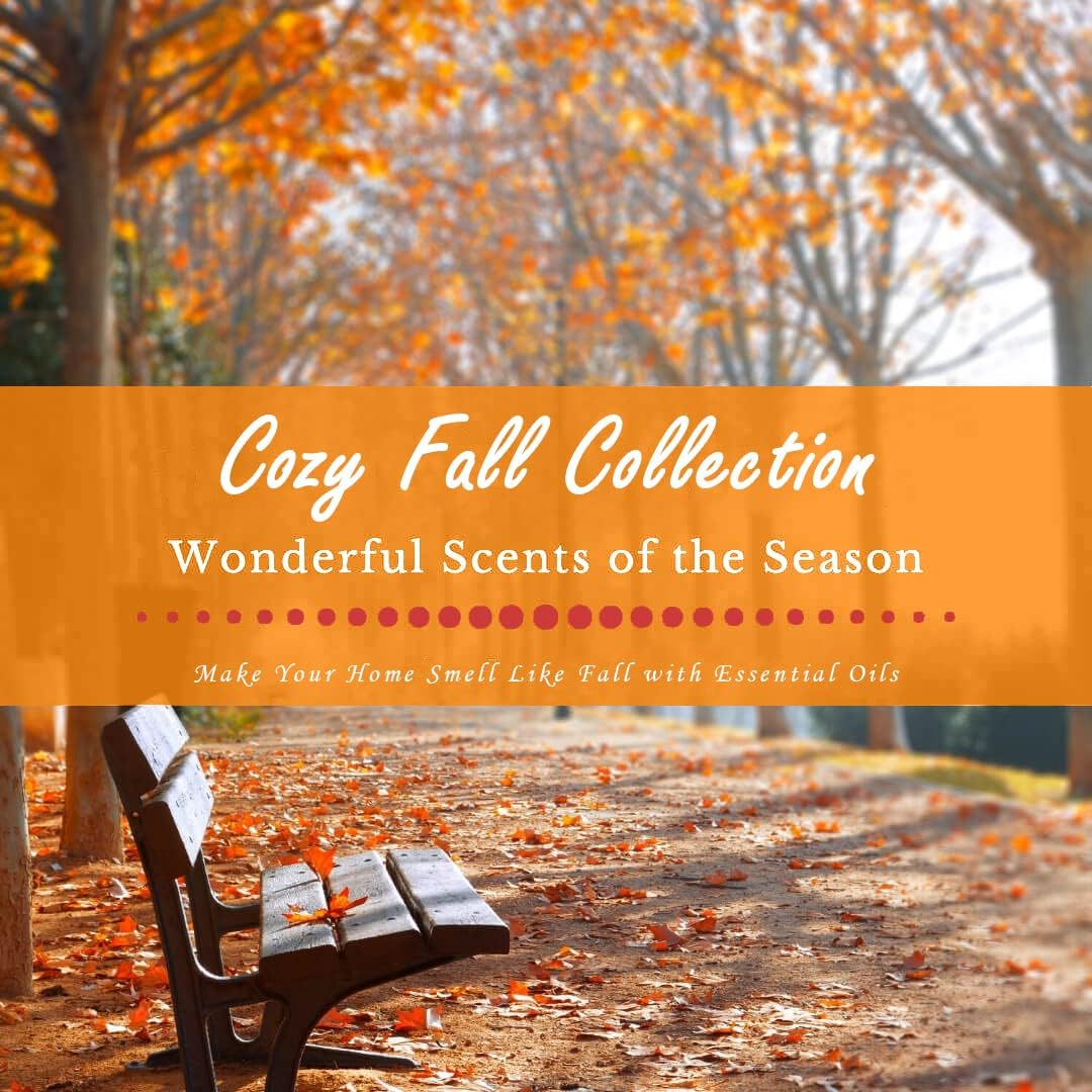 SALUBRITO Fall Essential Oil Set 6x10ml