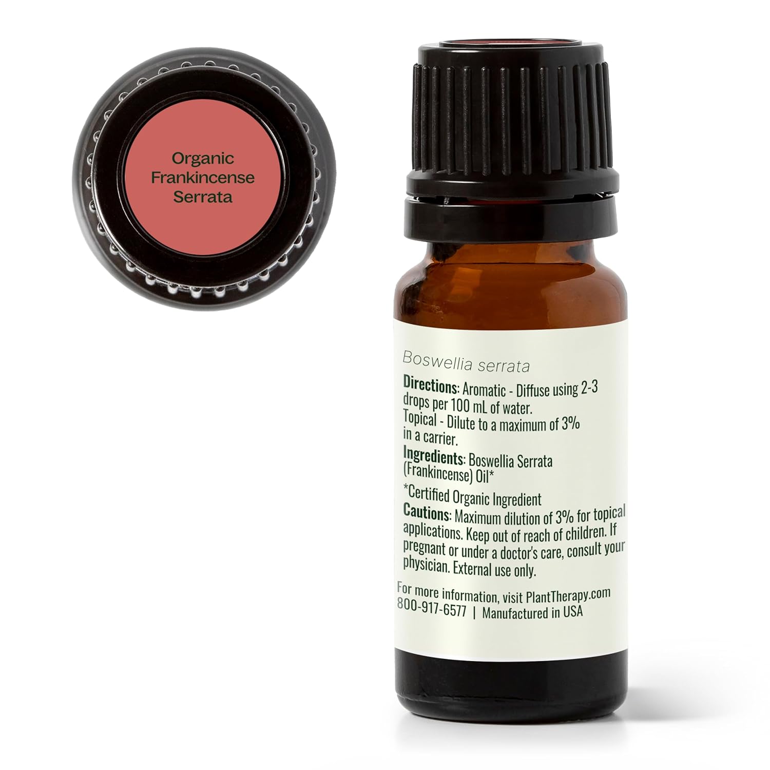 Plant Therapy Organic Frankincense Serrata Essential Oil 10 mL