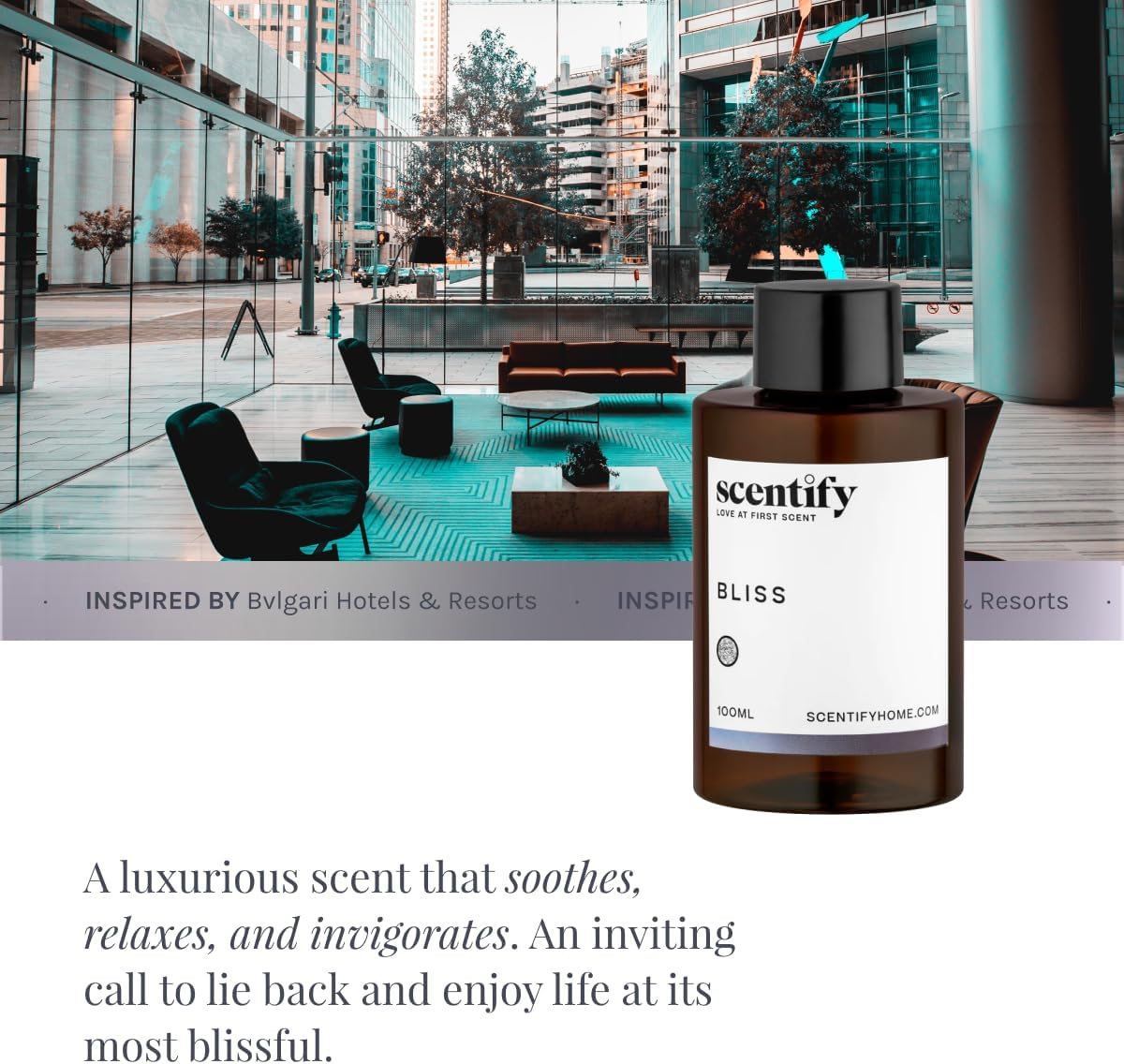 Scentify Bliss Aroma Oil Refill - 100ml Luxury Eucalyptus Bergamot Tea Powdery Scent