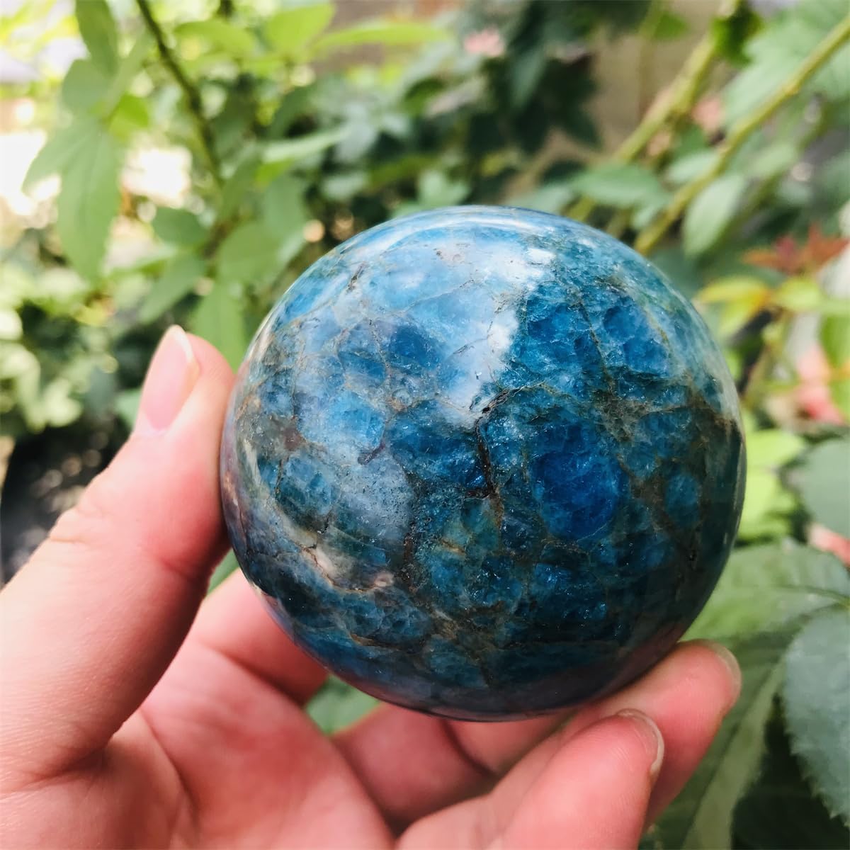 Large Natural Quartz Crystal Sphere Blue Apatite 60MM-70MM 1PC