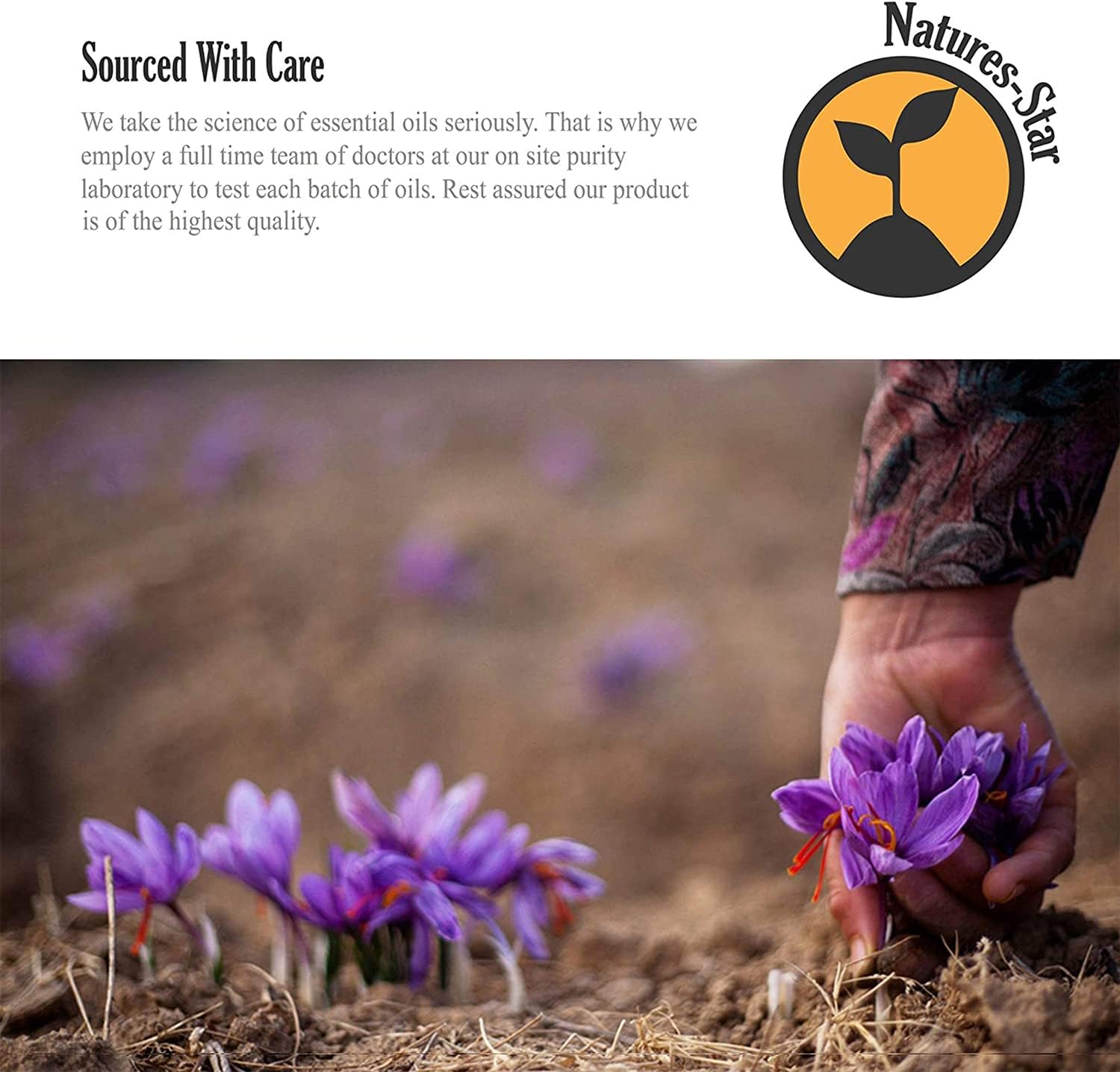 Natures-Star Lavender Essential Oil 16 Oz