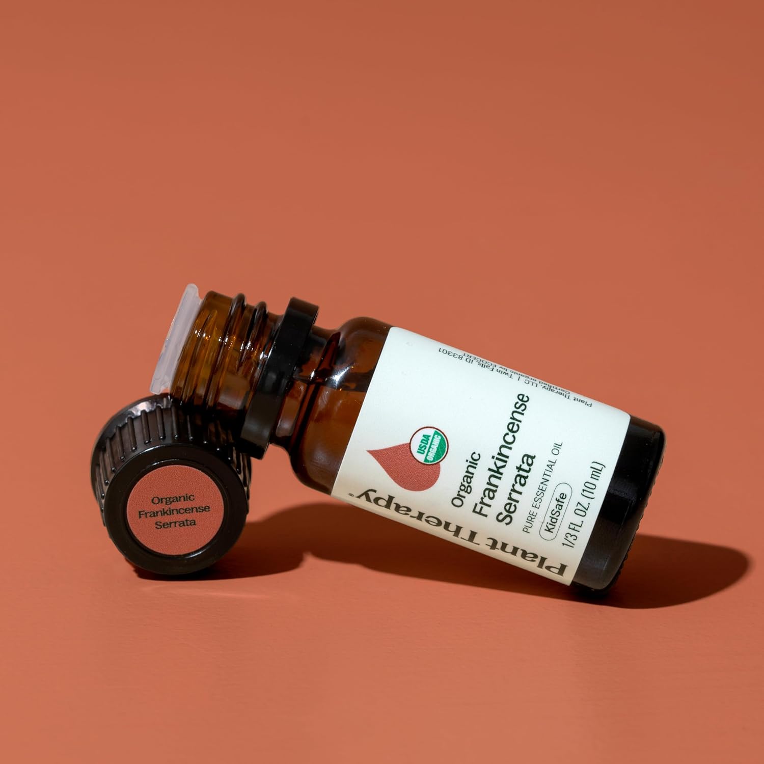 Plant Therapy Organic Frankincense Serrata Essential Oil 10 mL