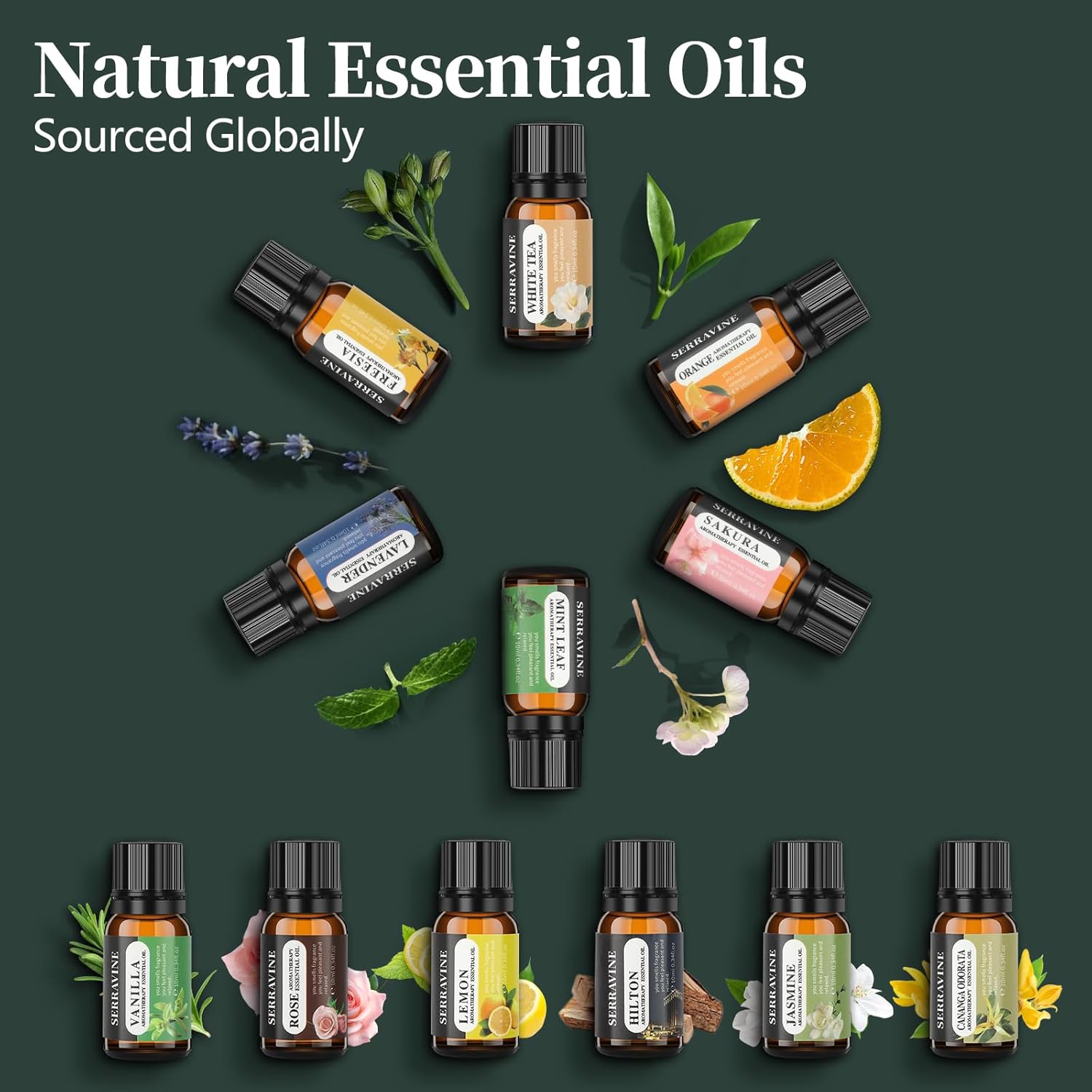 Serravine 12 Essential Oils Set for Diffusers