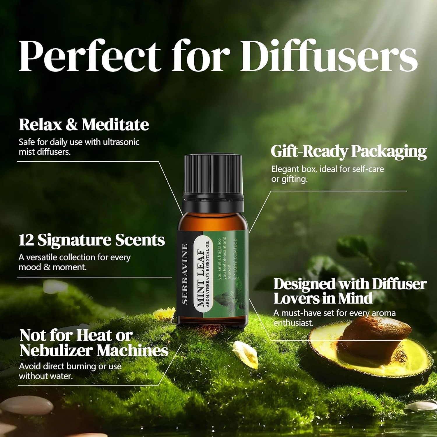 Serravine 12 Essential Oils Set for Diffusers