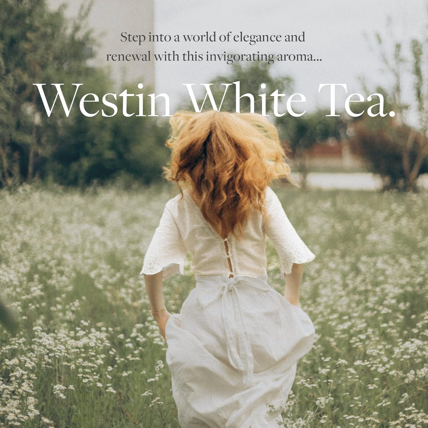 Westin White Tea Home Diffuser Refill Cartridge
