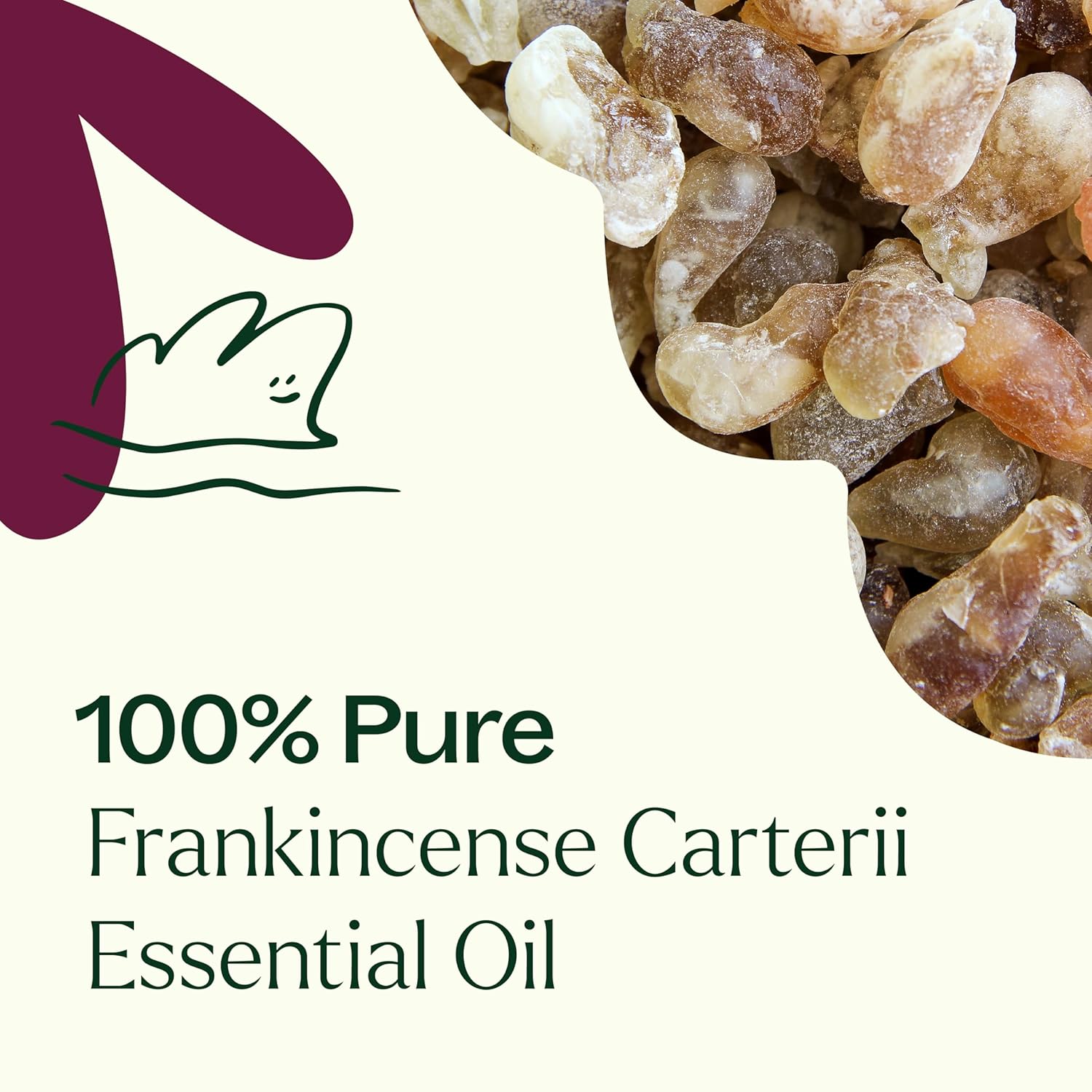 Plant Therapy Frankincense Carteri Essential Oil 30 mL