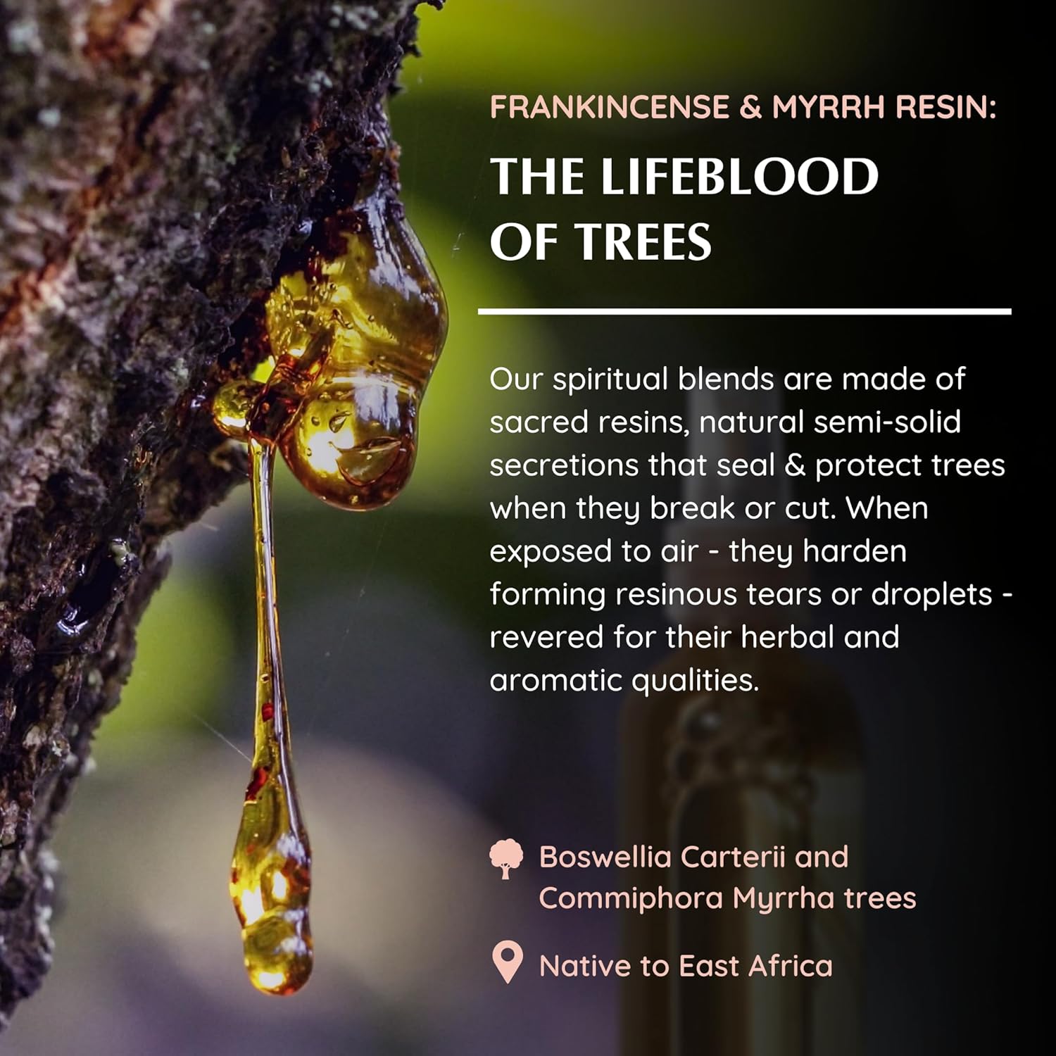 Frankincense Myrrh Natural Resin Mist by Aromafume 100ml