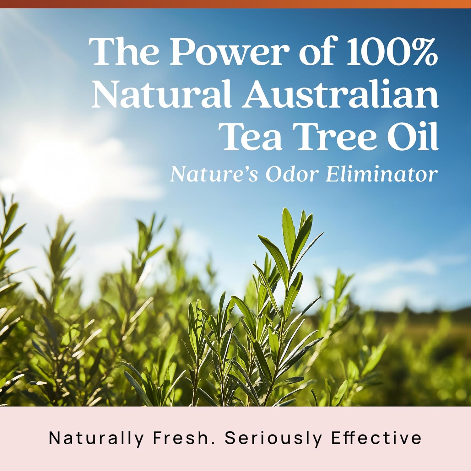 Azuna Air Freshener with Tea Tree Oil Gel