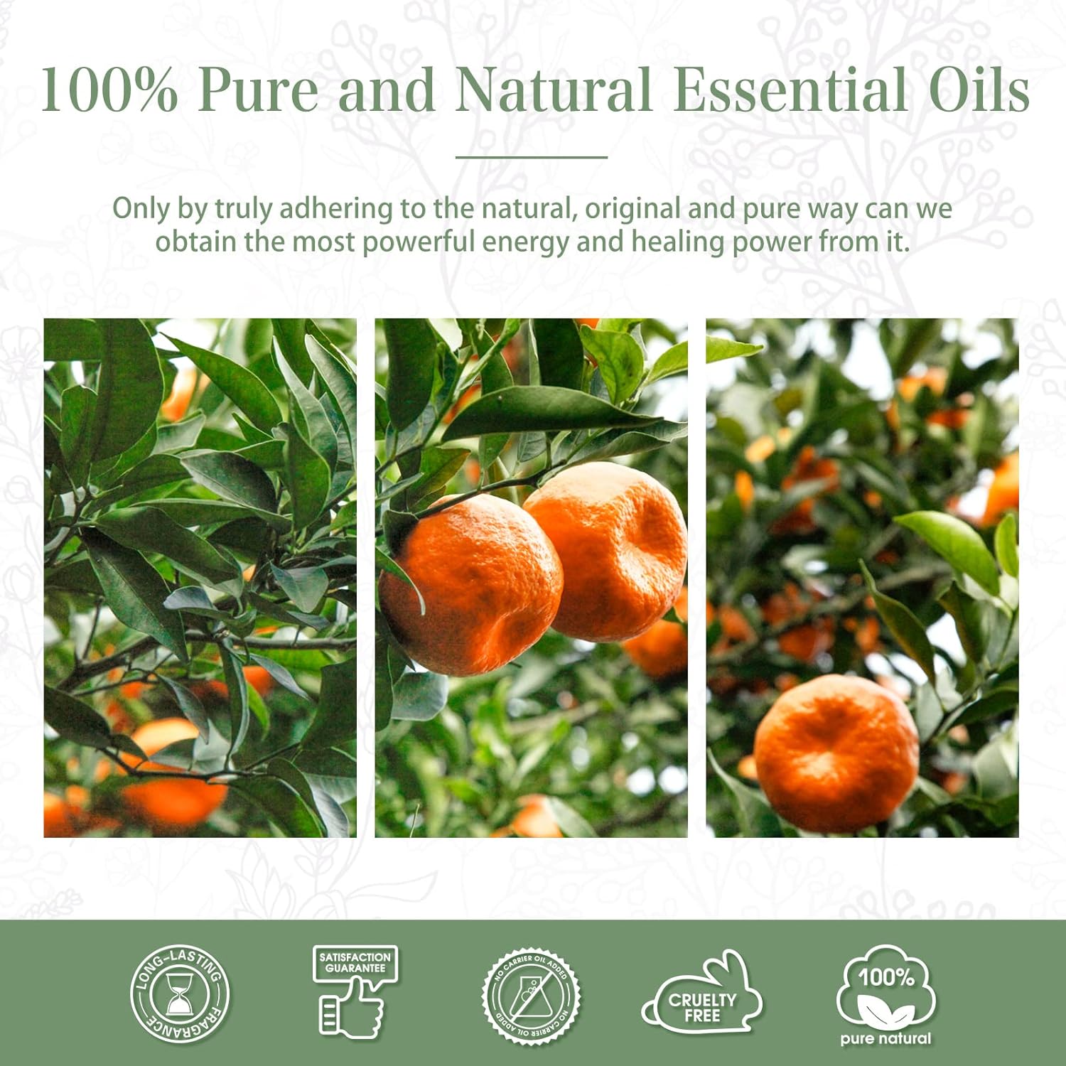 PHATOIL 338 Fl Oz Tangerine Essential Oil 100ML Bottle